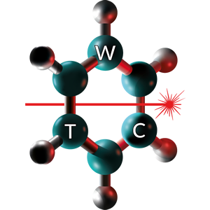 wtc_logo